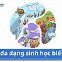 Loài Sinh Học Là Gì Cho Ví Dụ