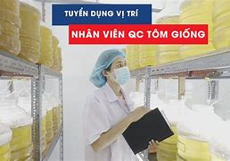 Tôm Giống Cp Tuyển Dụng